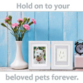 Hot sale Dog or Cat Paw Print Pet Keepsake Footprint Kit Photo Frame With Clay Pet Lovers Pet Memorial Picture Frame kids gift